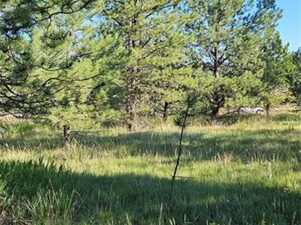 70 Andesite Ln, Florissant, CO 80816