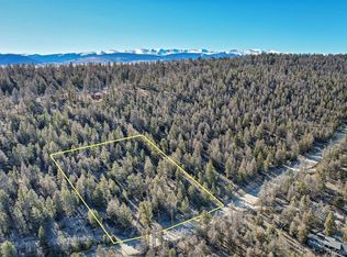 1467 Redhill Rd, Fairplay, CO 80440