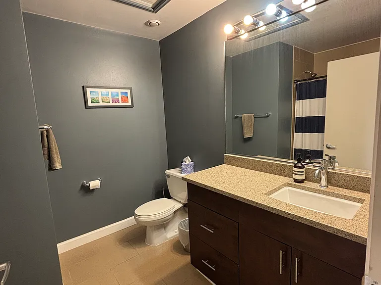 1224 W Van Buren St #713 — Photo 12