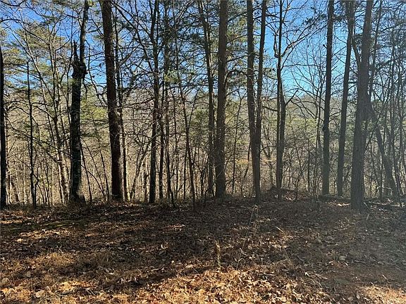 5th image of 1493 Derby Ct NE Lot 1493