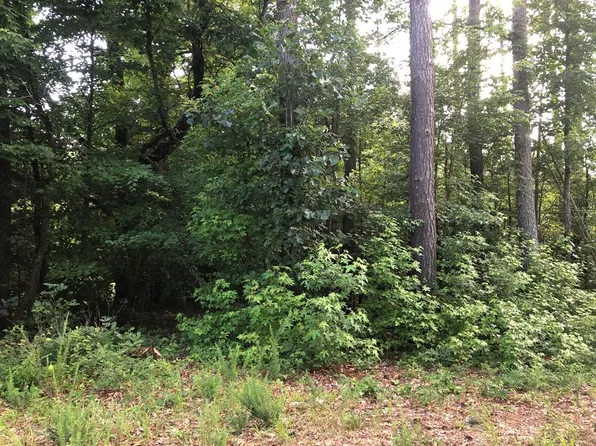 Williams Trl, Halifax, VA 24558