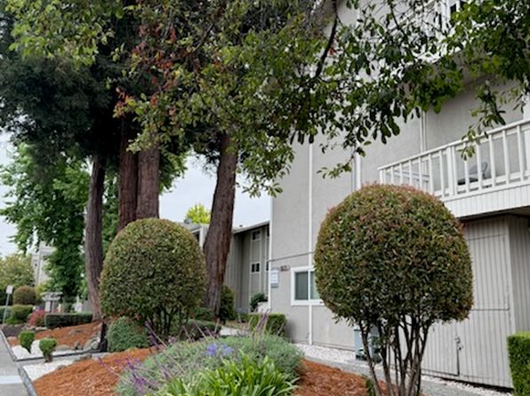 8025 Beverly Dr #CC81E8B2D
