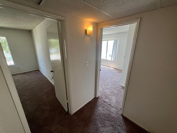 5th image of 4901 Whitsett Ave APT 201