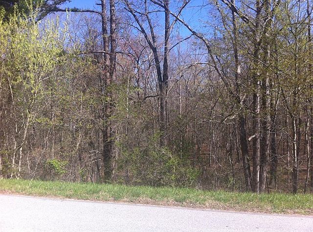 2nd image of 4547 Cagle Rd