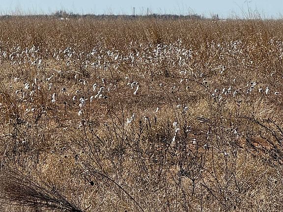 2nd image of County Road 168