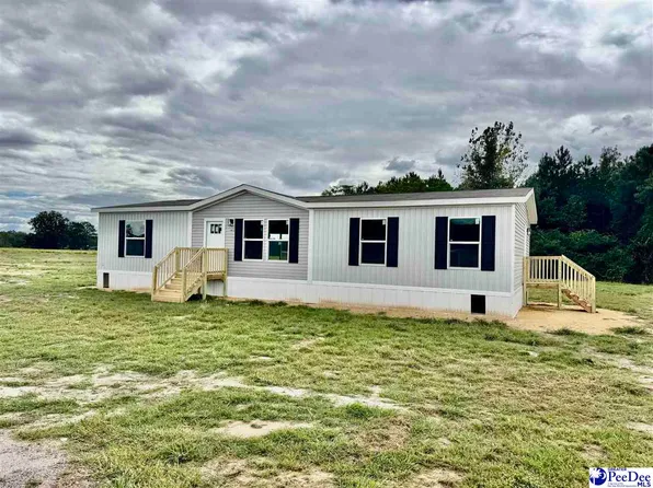 1483 Old Hamer Rd, Hamer, SC 29574
