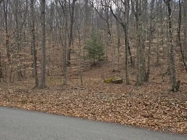 2185 Little Sand Run Rd, Buckhannon, WV 26201