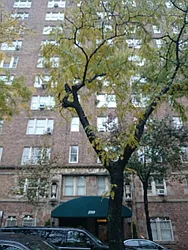 299 West 12th Street in West Village