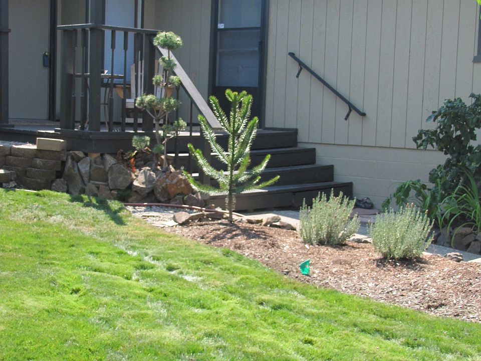 2nd image of 341 Rodale Dr