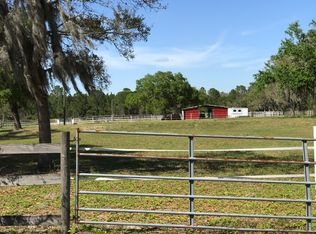 10815 Tyson Rd, Orlando, FL 32832