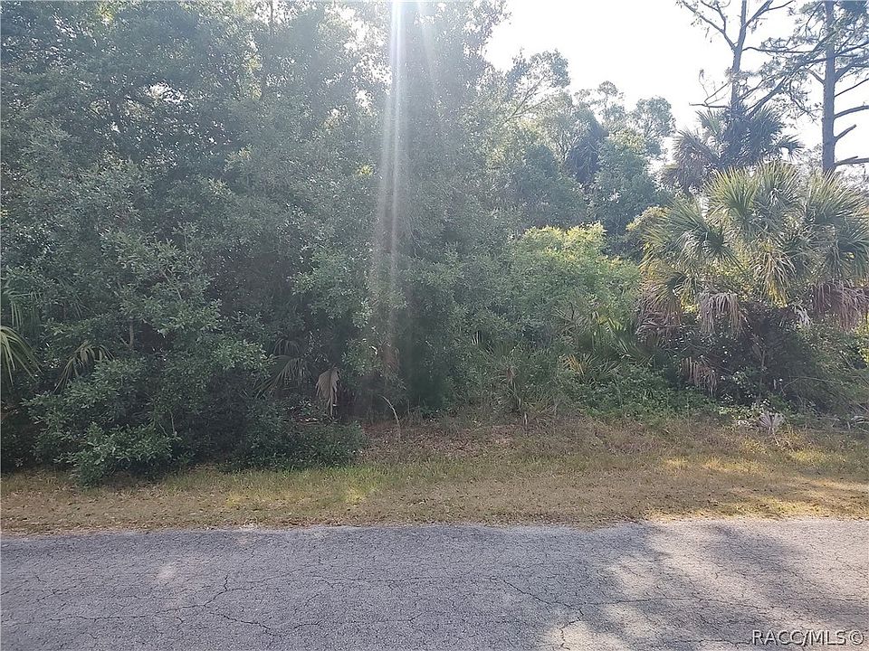 1st image of 10349 N Coco Plumosa Dr