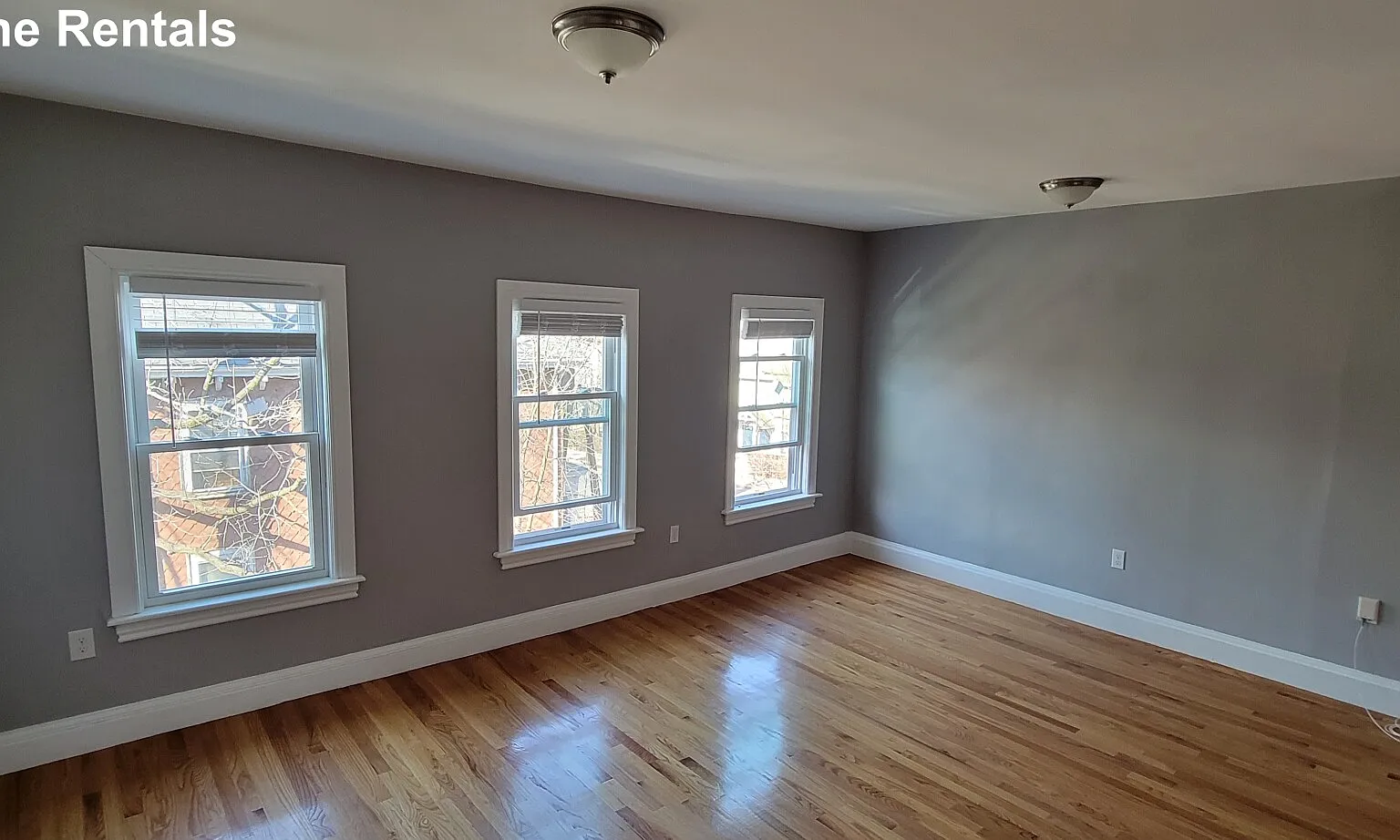 2 bed, 1.5 bath, 1000 sqft, $2,800 — Photo 4