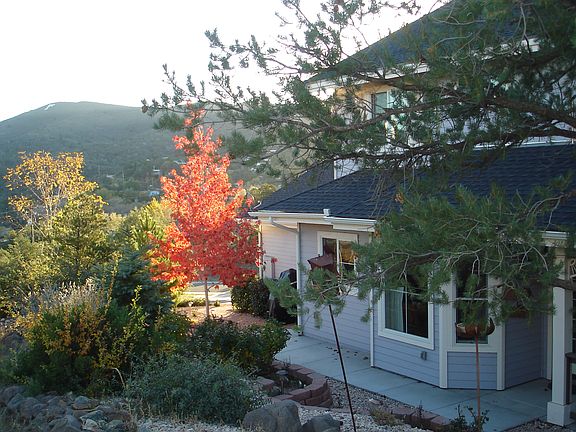 5th image of 216 Sheffield Dr