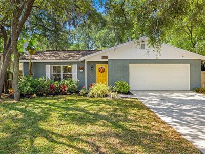 4605 Serena Dr, Tampa, FL, 33617