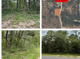 0041 COUSINTOWN Road, Interlachen, FL 32148