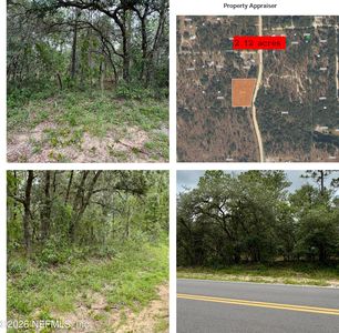 0041 COUSINTOWN Road, Interlachen, FL, 32148
