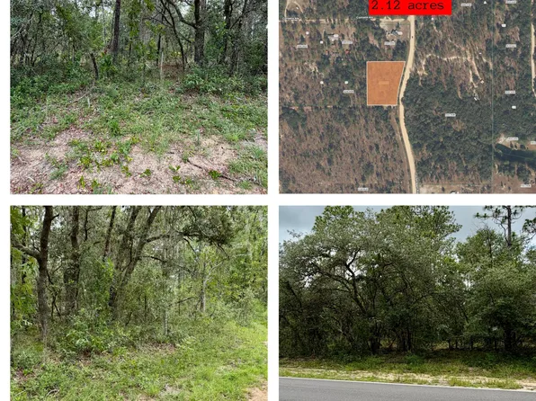 0041 COUSINTOWN Road, Interlachen, FL 32148
