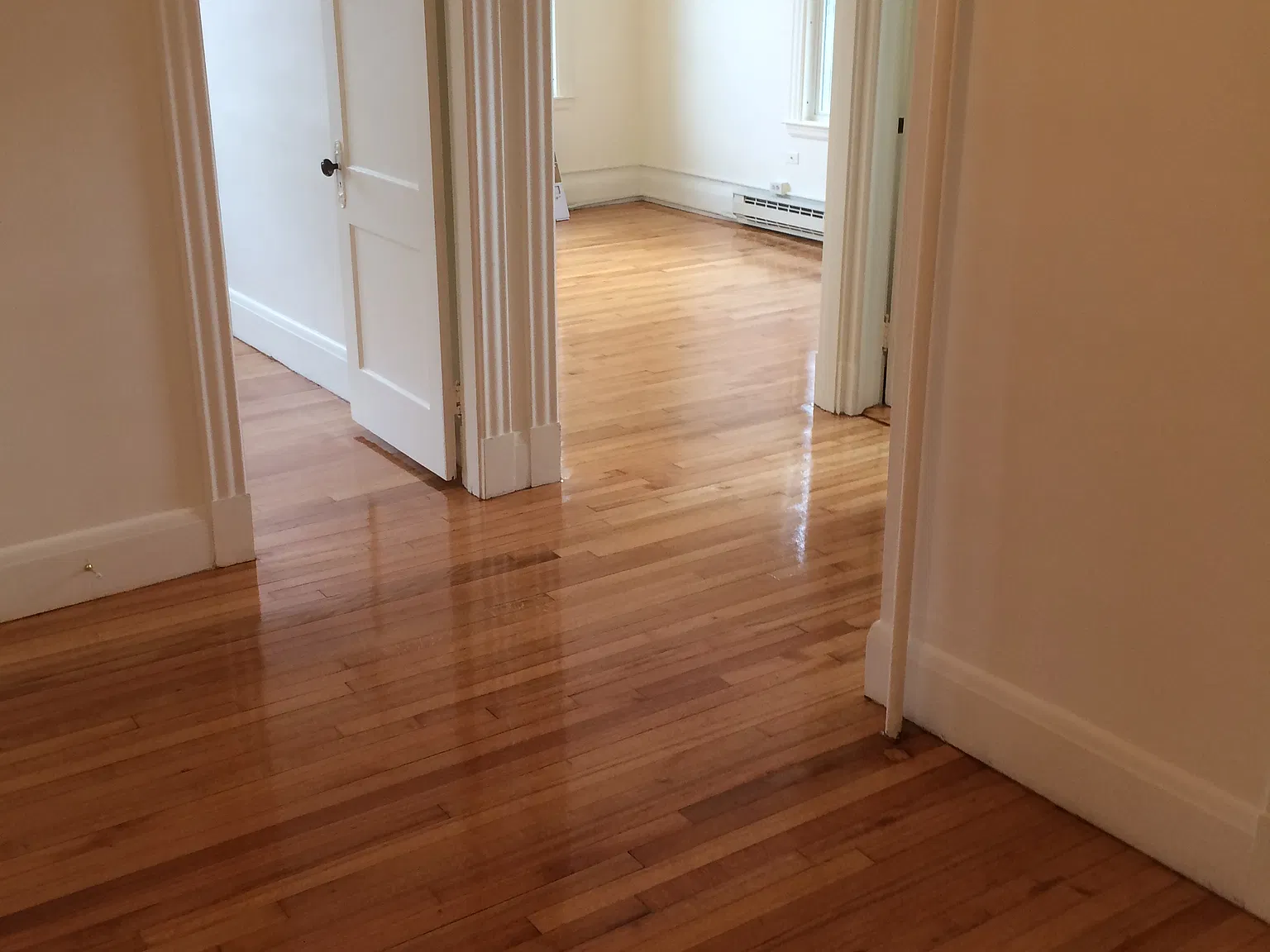 1 bed, 700 sqft, $1,895 — Photo 4