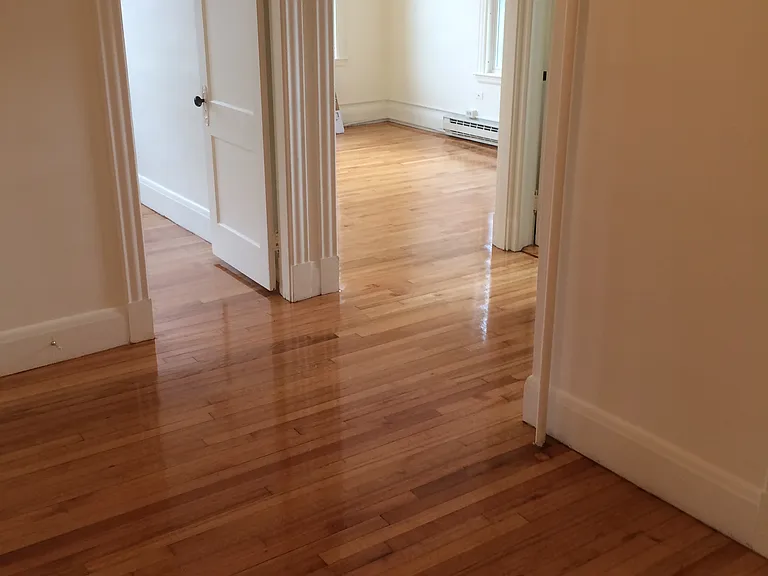 203 Lewis St #12 — Photo 3