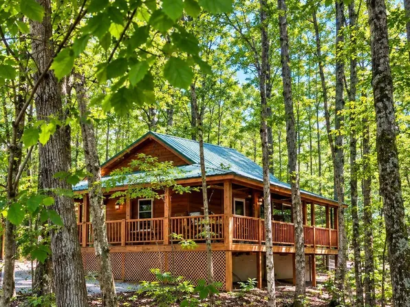 1341 Corey Ct, Bellaire, MI 49615