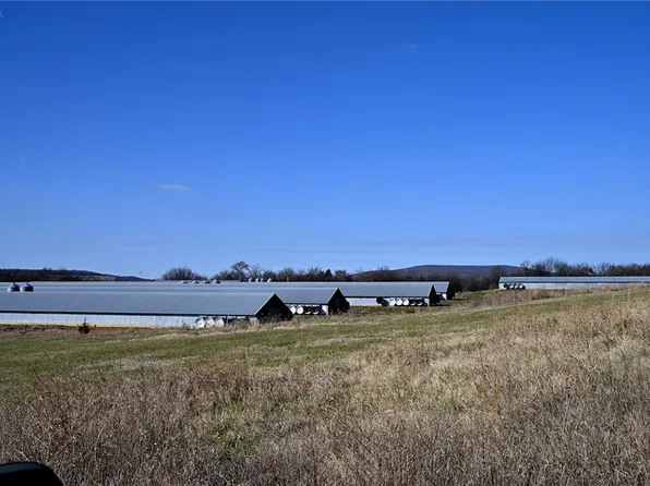 17790 Hale Mountain Rd, Canehill, AR 72717