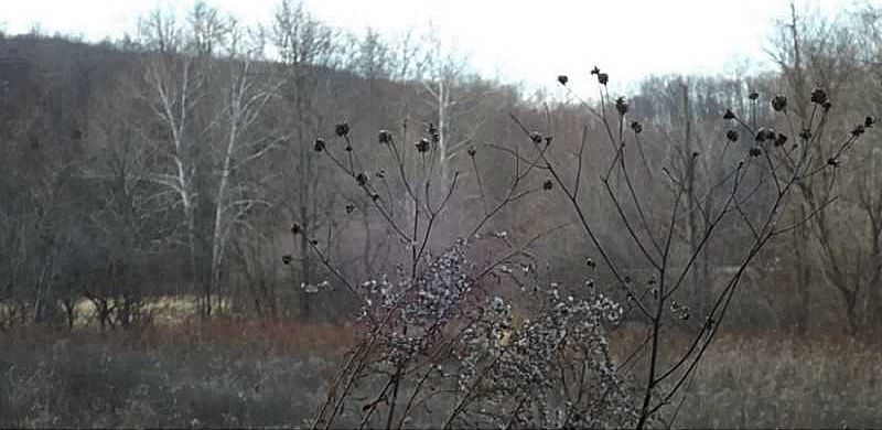 2nd image of Rt51 Nr Vances Ml
