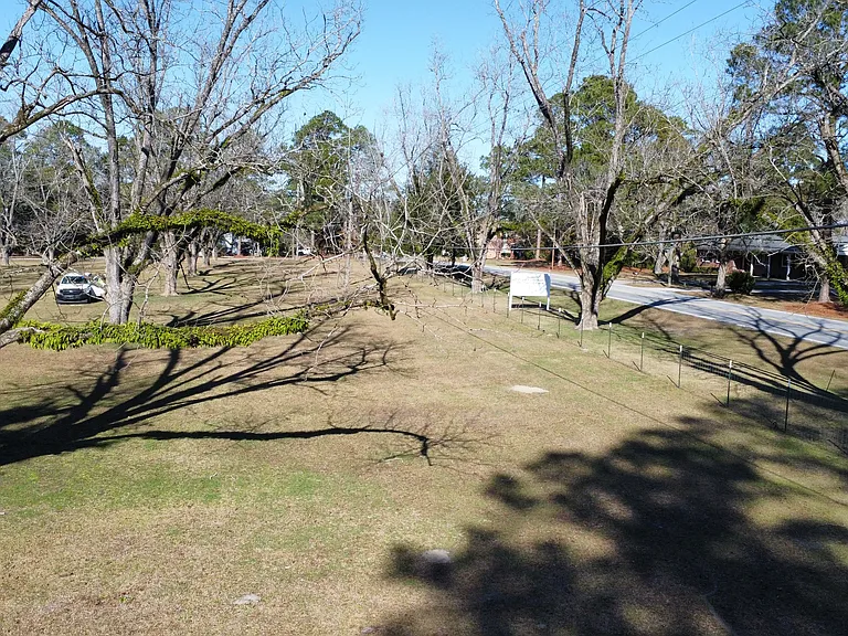 414 Zetterower Rd #B — Photo 6