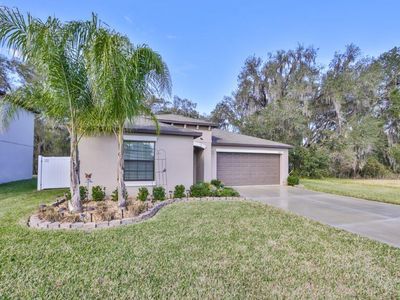 3123 Moulden Hollow Dr, Zephyrhills, FL, 33540