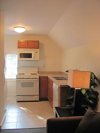 209 Williams Street Rear - 2 — Photo 2