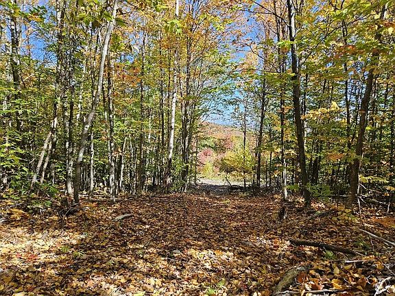 4th image of Lot 9 E Moose Alley Road