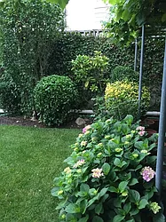 Rented by Global City Realty