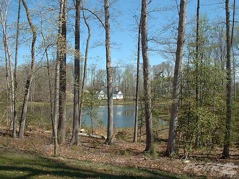 Pond View