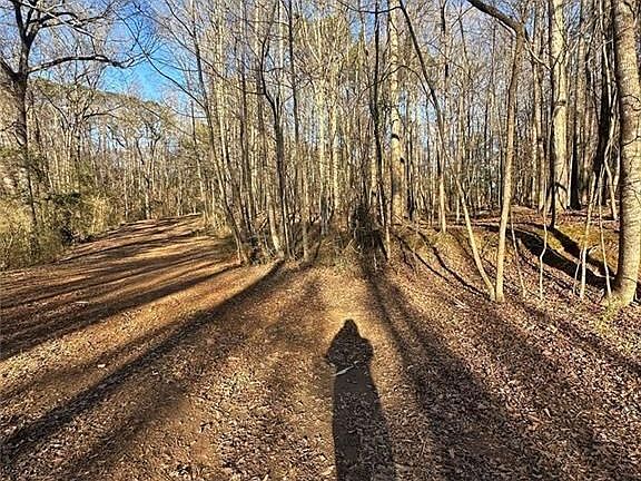 3rd image of 0 Collier St SW