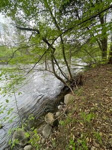 S Branch Ln UNIT 4, Hesperia, MI, 49421