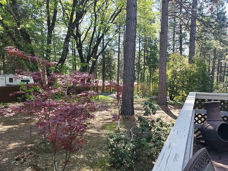 12087 Sunny Slope Dr — Photo 4