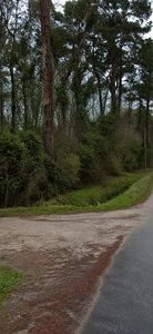 TBD Sing Ave., Conway, SC, 29527