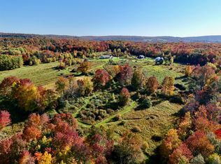 196/204 Dessecker Rd, Livingston Manor, NY 12758