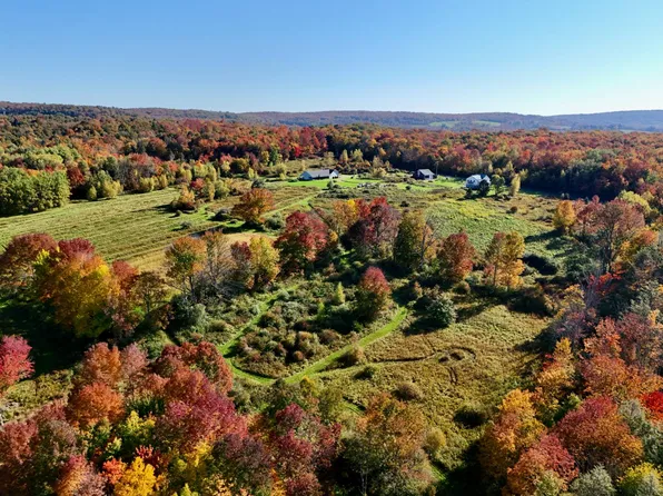 196/204 Dessecker Rd, Livingston Manor, NY 12758