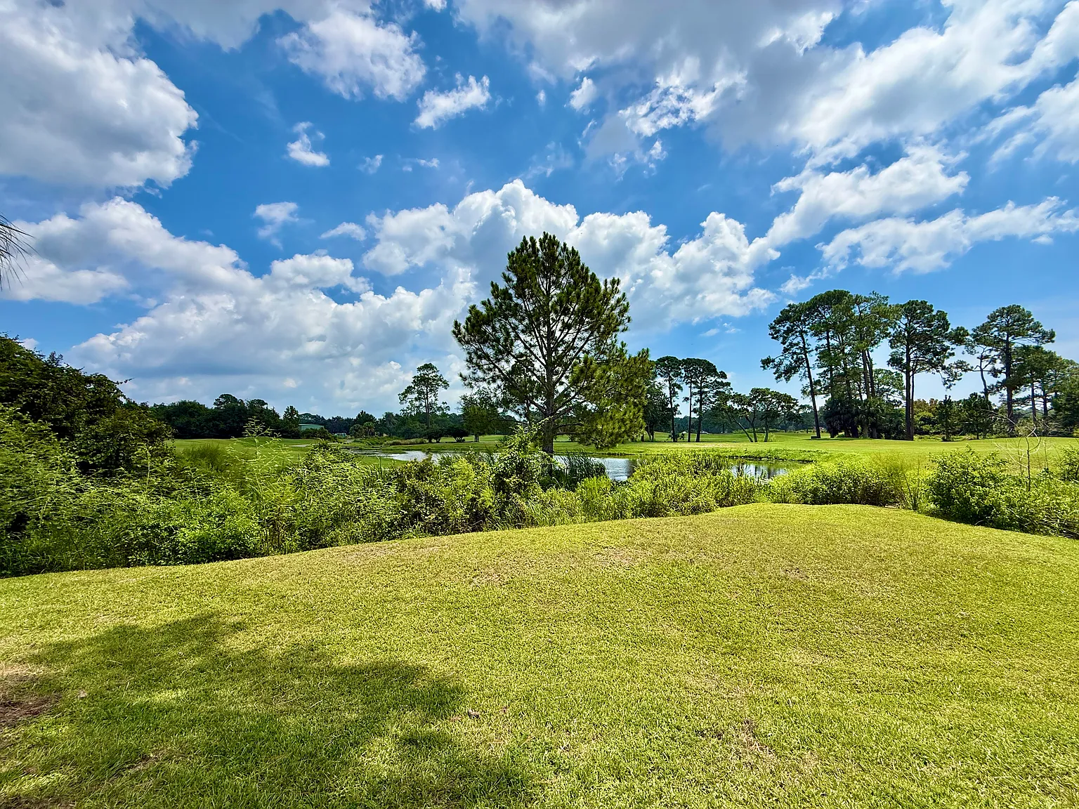 3 bed, 1678 sqft, $1,900 — Photo 3