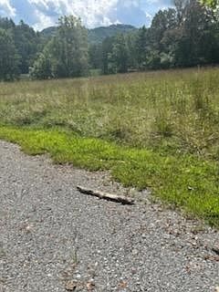 3rd image of Township Road 1 Rev Burch Cove Rd