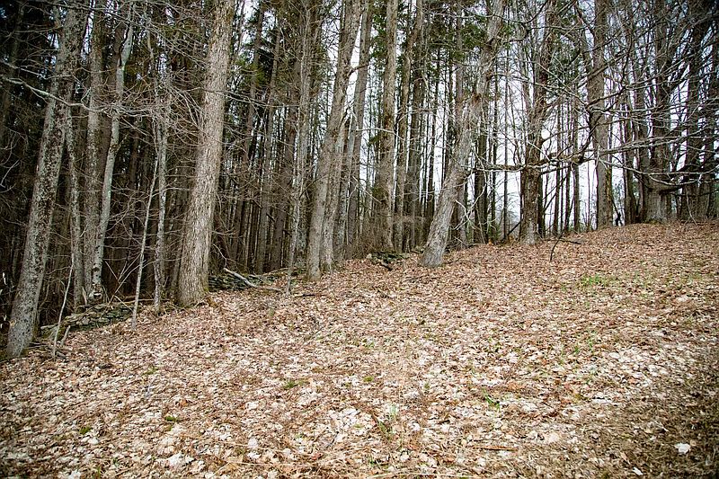 2nd image of DRIFT HILL Road