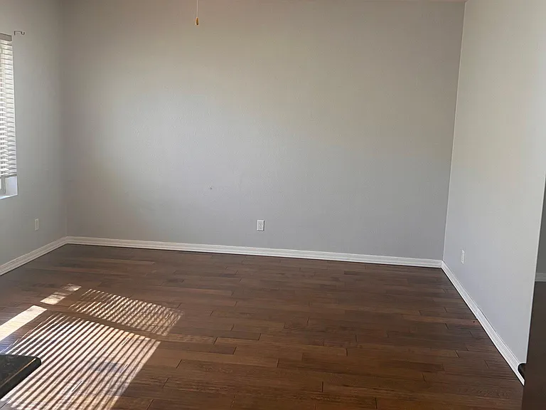 168 E Calle Del Rondador — Photo 10