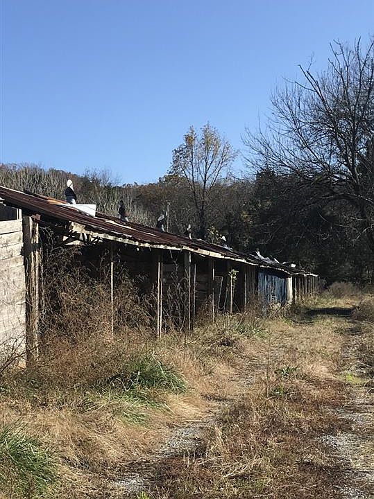 2nd image of 4974 Ladd Springs Rd