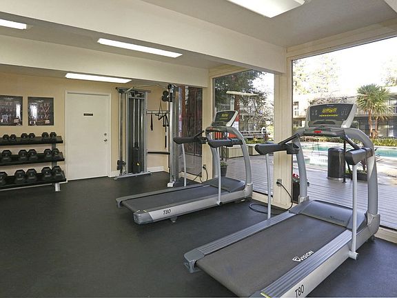 Free weights and Treadmills