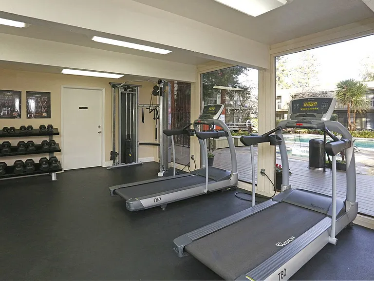 Free weights and Treadmills