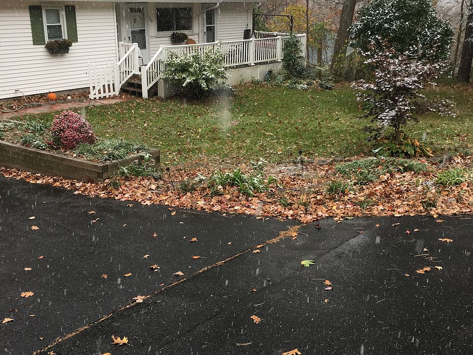 2nd image of 123 Cook Ln