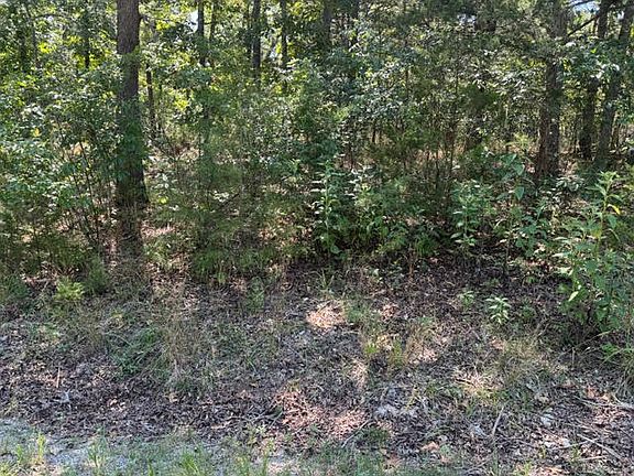 2nd image of 124 Valley Dr #6