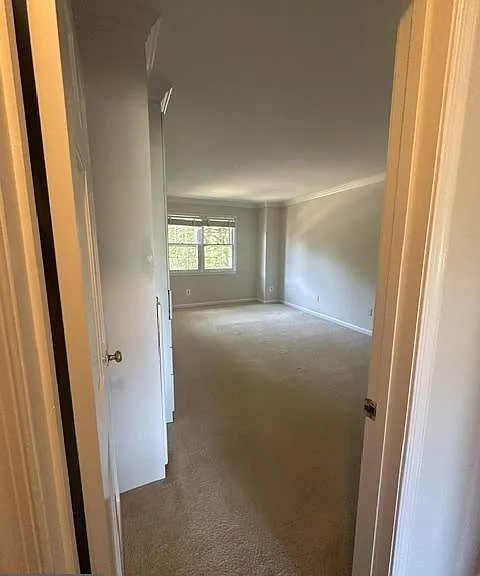 7412 Hallcrest Dr — Photo 16