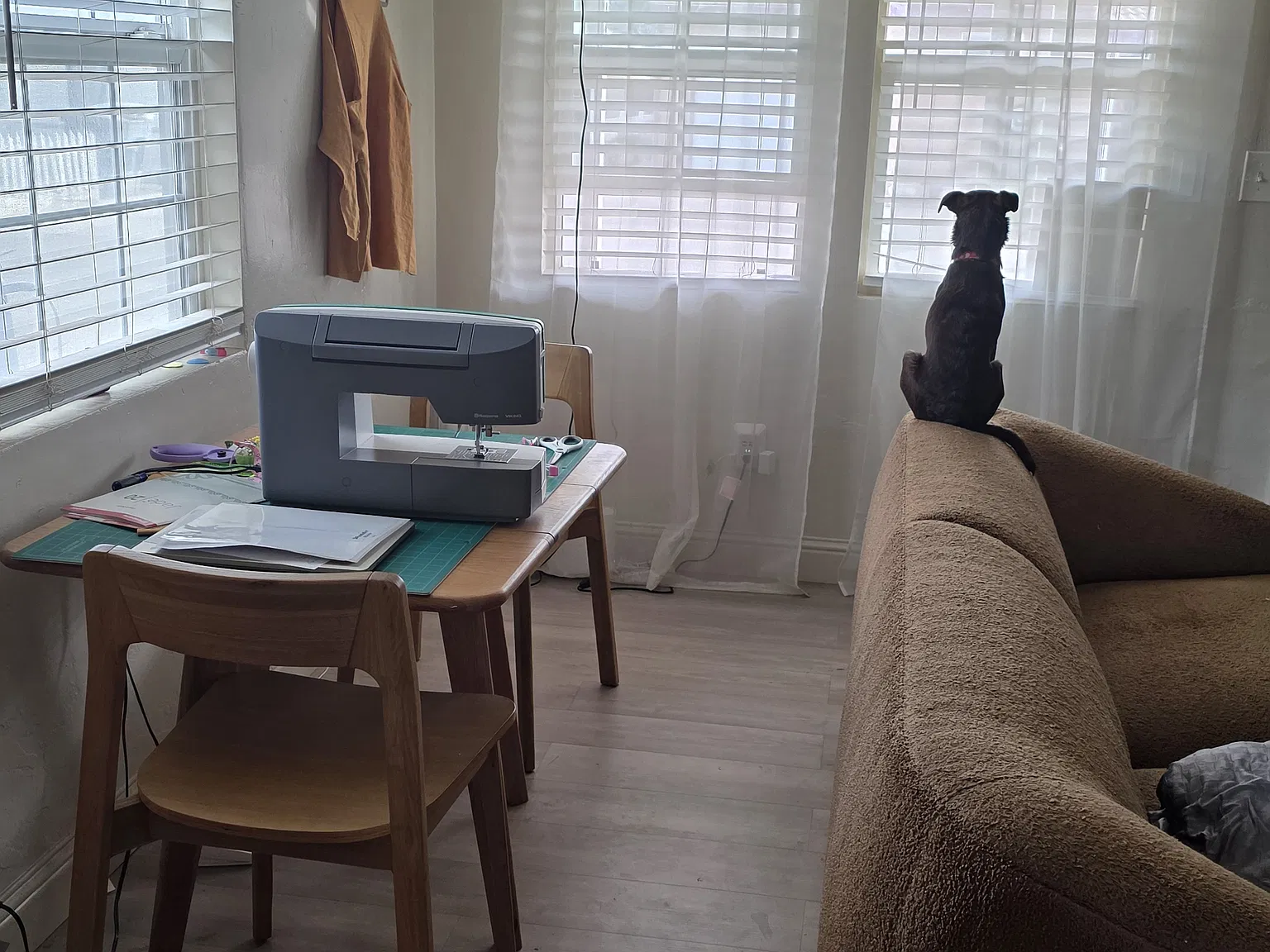 1 bed, 592 sqft, $1,900 — Photo 4