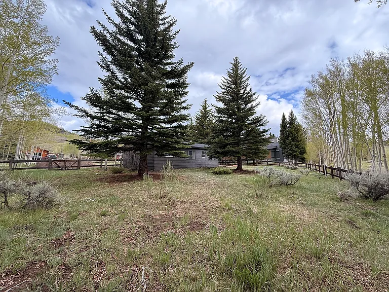 1347 Rainbow Dr — Photo 24